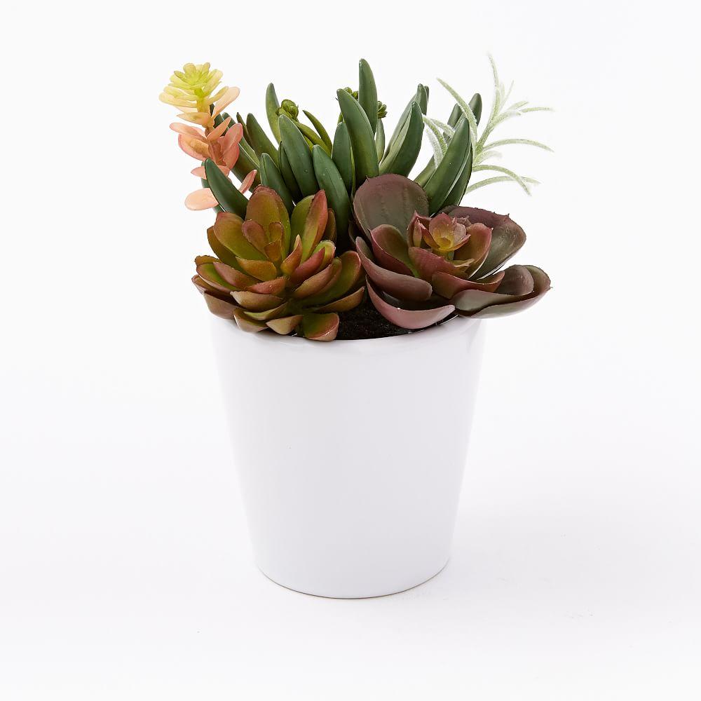 Faux Plant - Multi