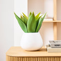 Faux Potted Agave