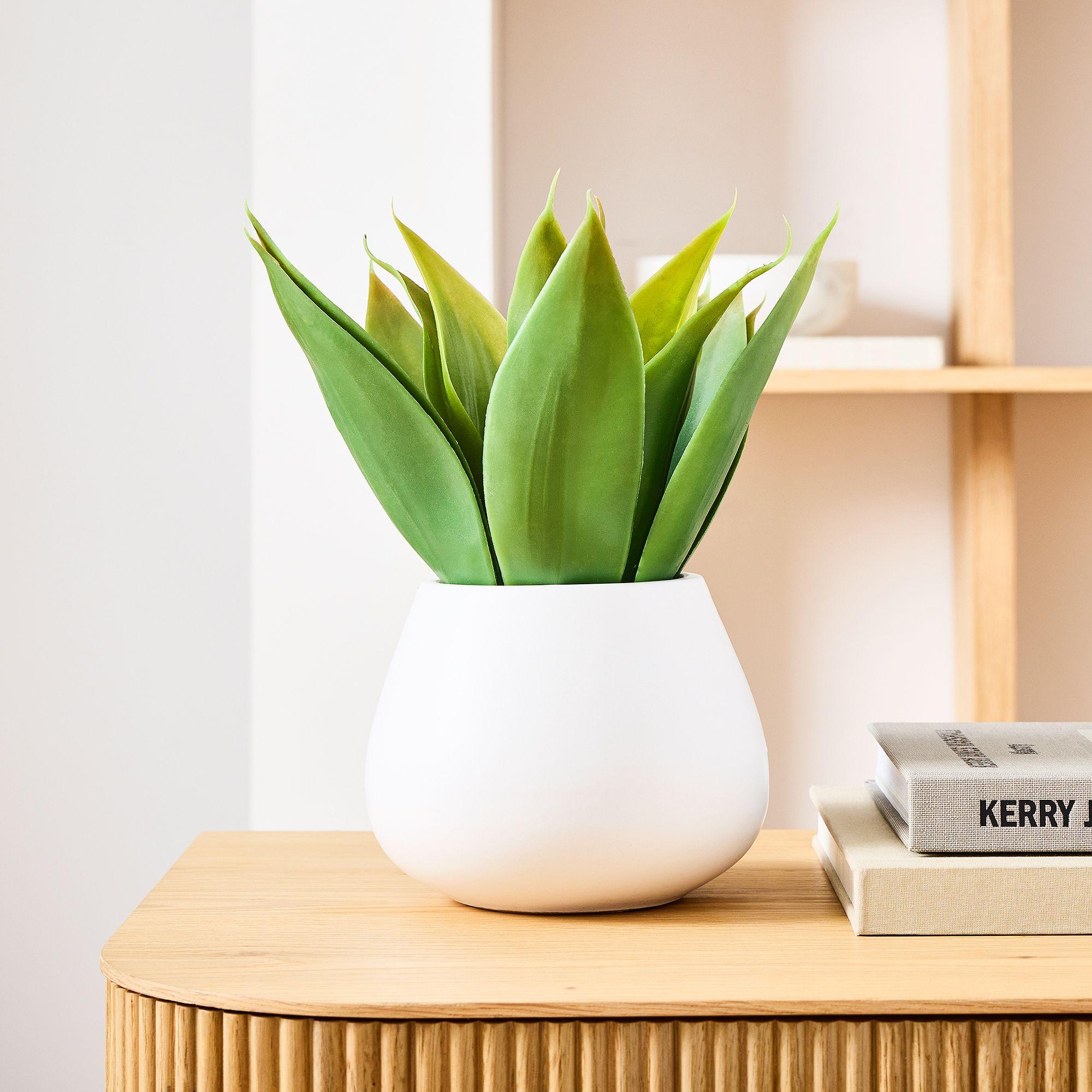 Faux Potted Agave
