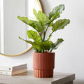 Faux Potted Apple Leaf