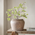 Faux Potted Bursera Plant