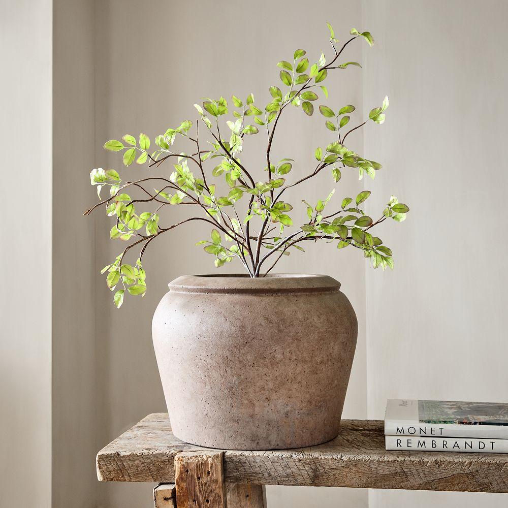 Faux Potted Bursera Plant