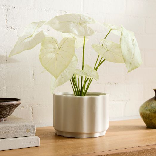 Faux Potted Dasheen Leaf Plant
