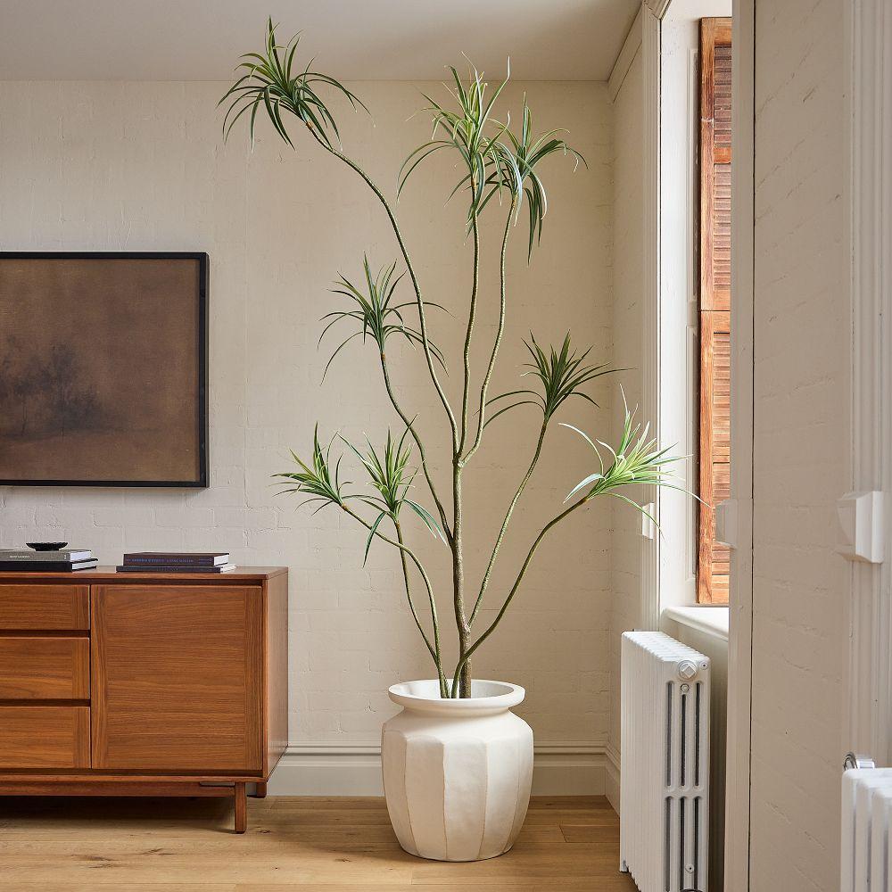 Faux Potted Dracaena