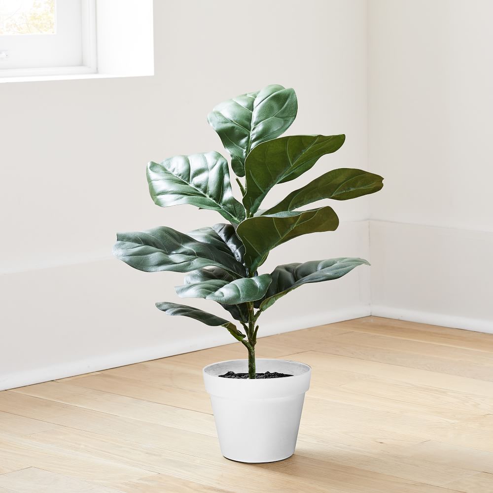 Faux Potted Fiddle Leaf Fig