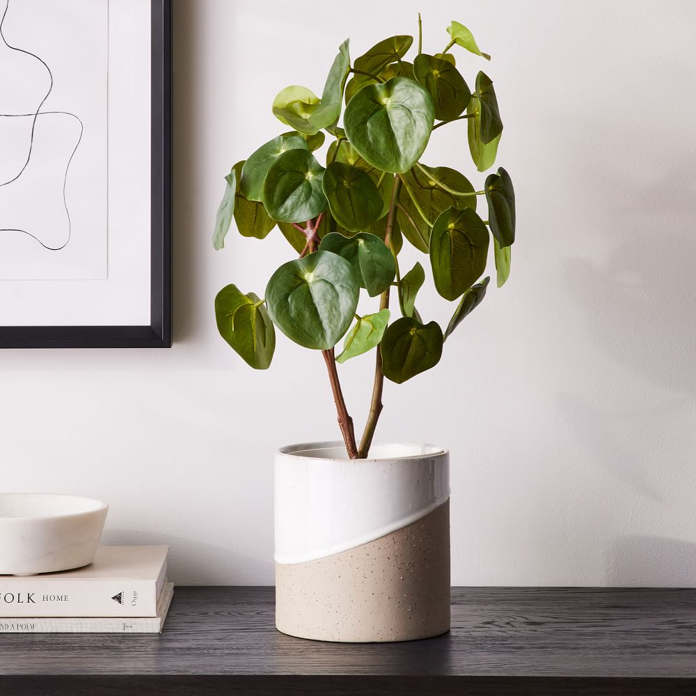 Faux Potted Pilea Peperomioides