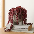 Faux Potted Ruby Donkeytail