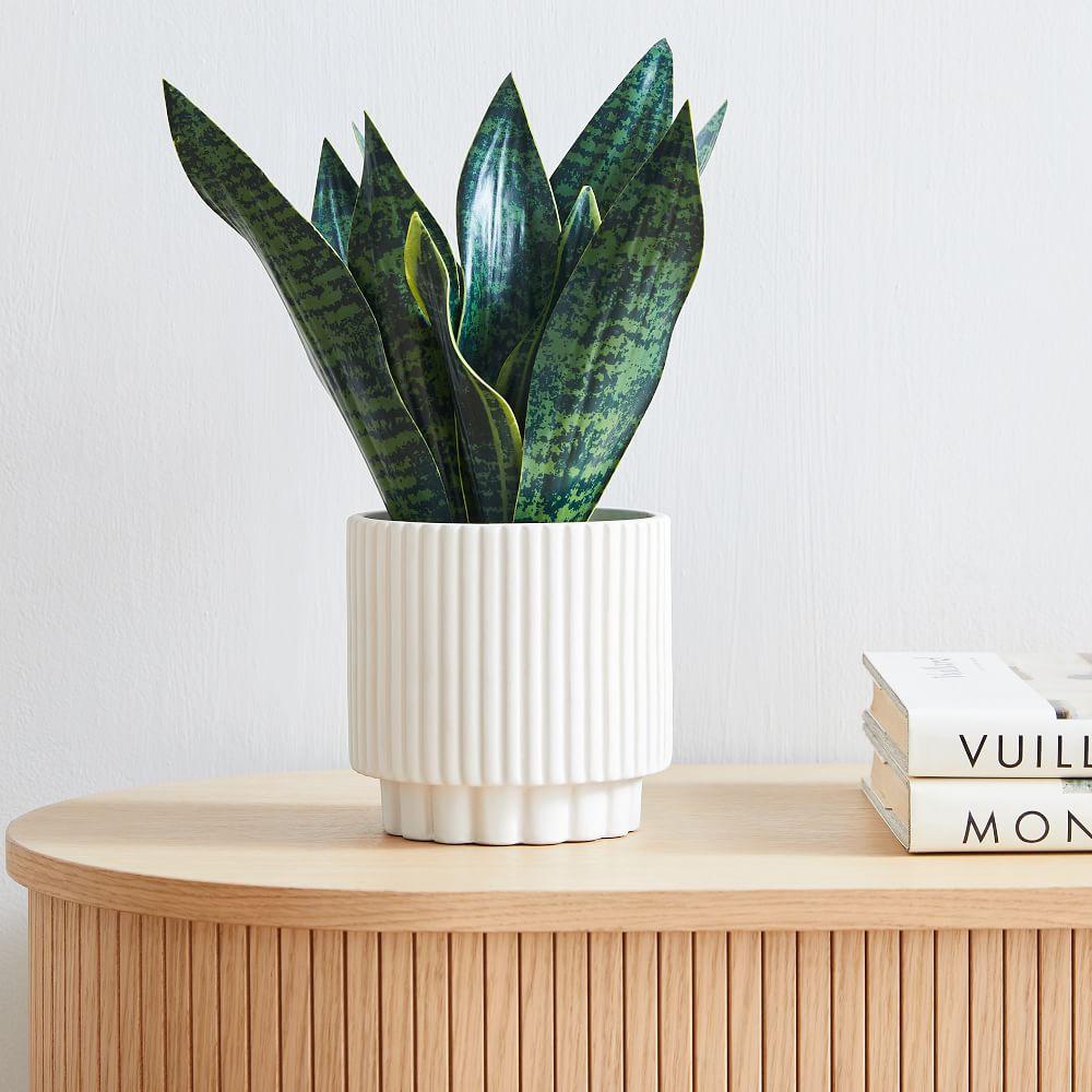 Faux Snake Plant