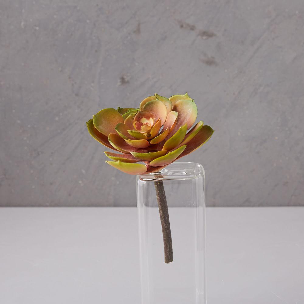 Faux Succulent Stem - Aeonium