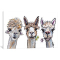 Icanvas Alpacas Trio Ii By Hippie Hound Studios