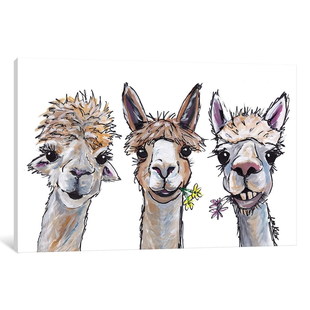 Icanvas Alpacas Trio Ii By Hippie Hound Studios