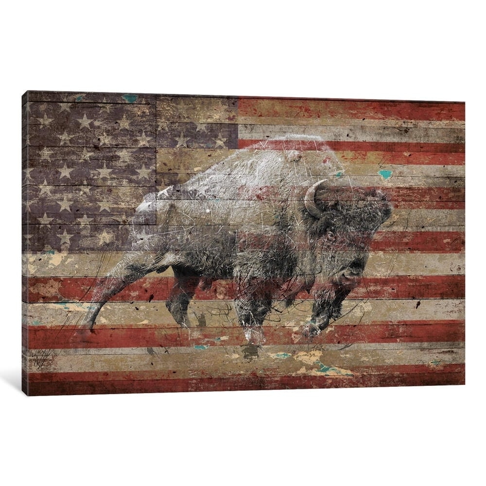 Icanvas American Bison Ii By Diego Tirigall