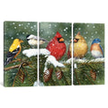 Icanvas Backyard Birds On Snowy Branch By William Vanderdasson