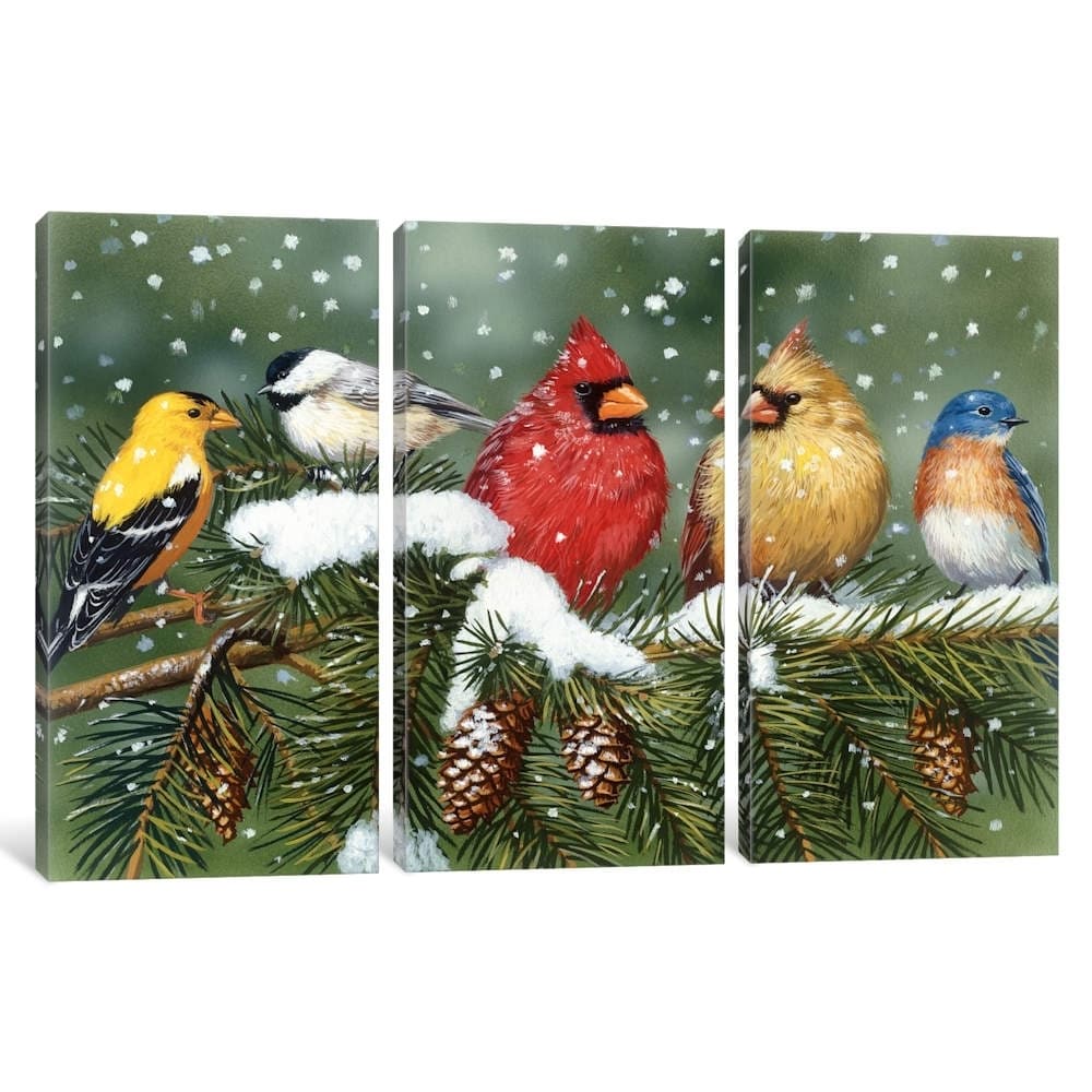 Icanvas Backyard Birds On Snowy Branch By William Vanderdasson