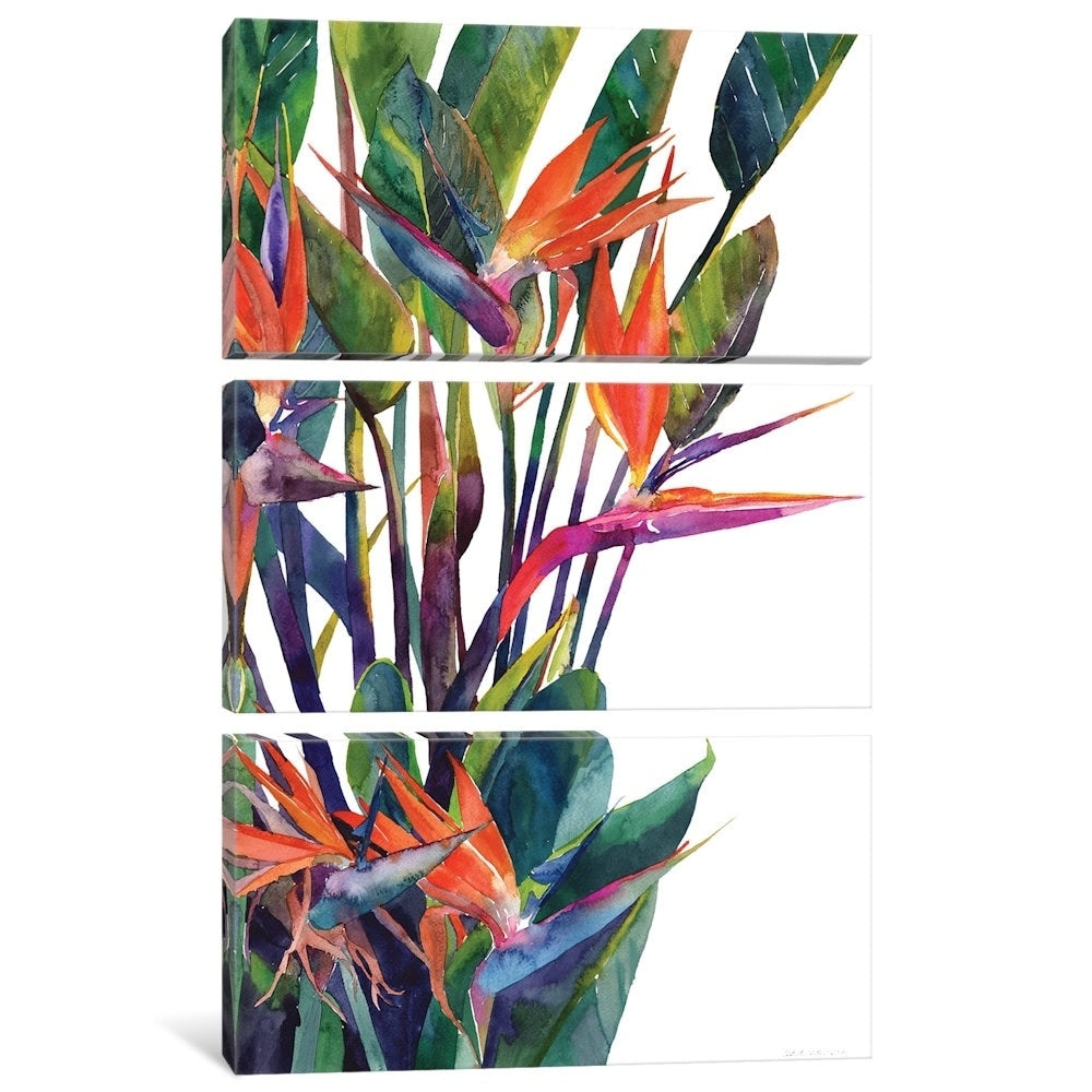 Icanvas Bird Of Paradise By Maja Wronska Canvas Print