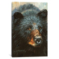 Icanvas Black Bear By David Stribbling