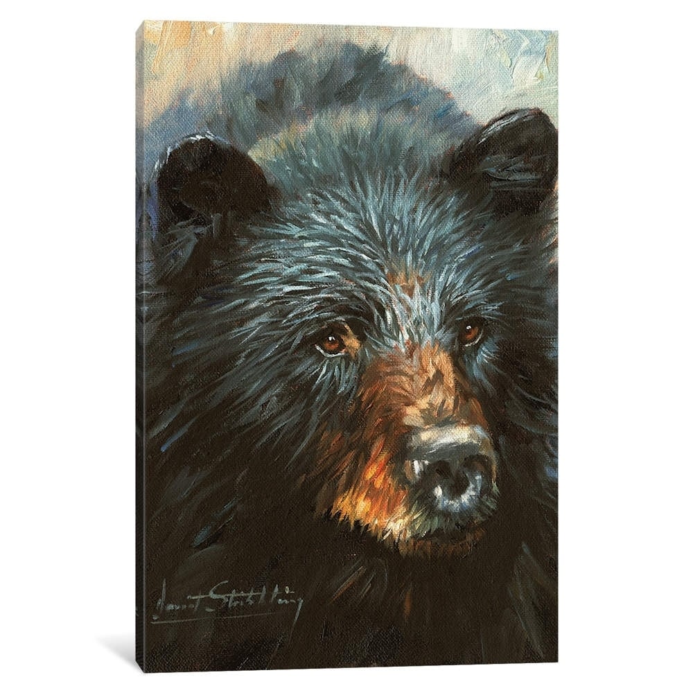 Icanvas Black Bear By David Stribbling