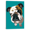 Icanvas Bulldog On Teal By Julie Ahmad Canvas Print