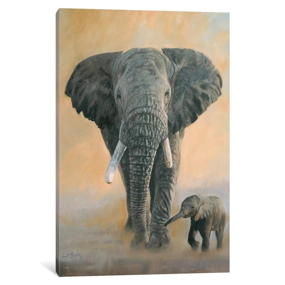 Icanvas Elephant And Baby By David Stribbling Canvas Print