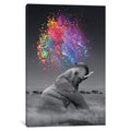 Icanvas Elephant Color Explosion By Soaring Anchor Designs