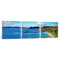 Icanvas Islands In Trunk Bay By Panoramic Images Canvas Print