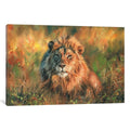 Icanvas Lion At Sunset By David Stribbling