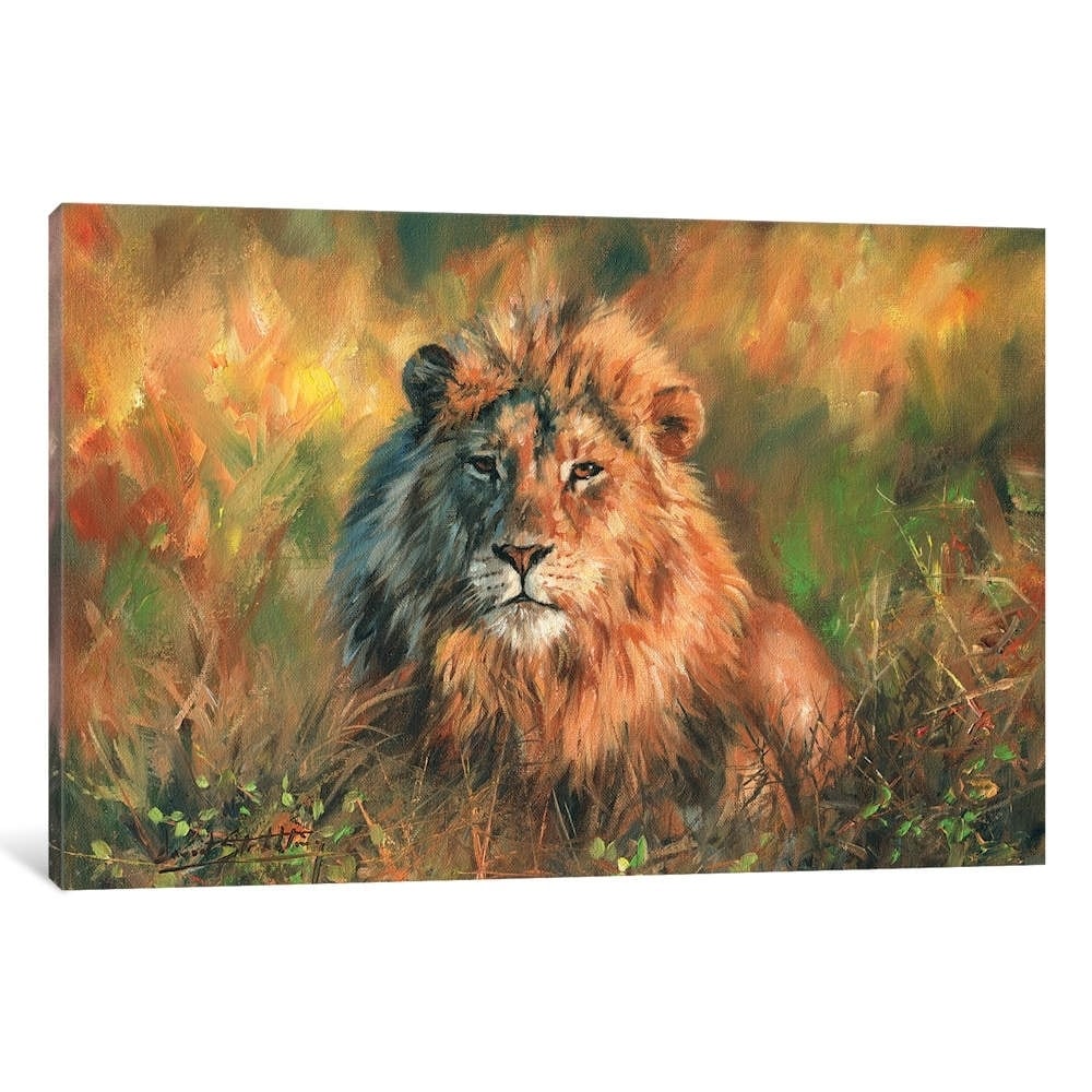Icanvas Lion At Sunset By David Stribbling