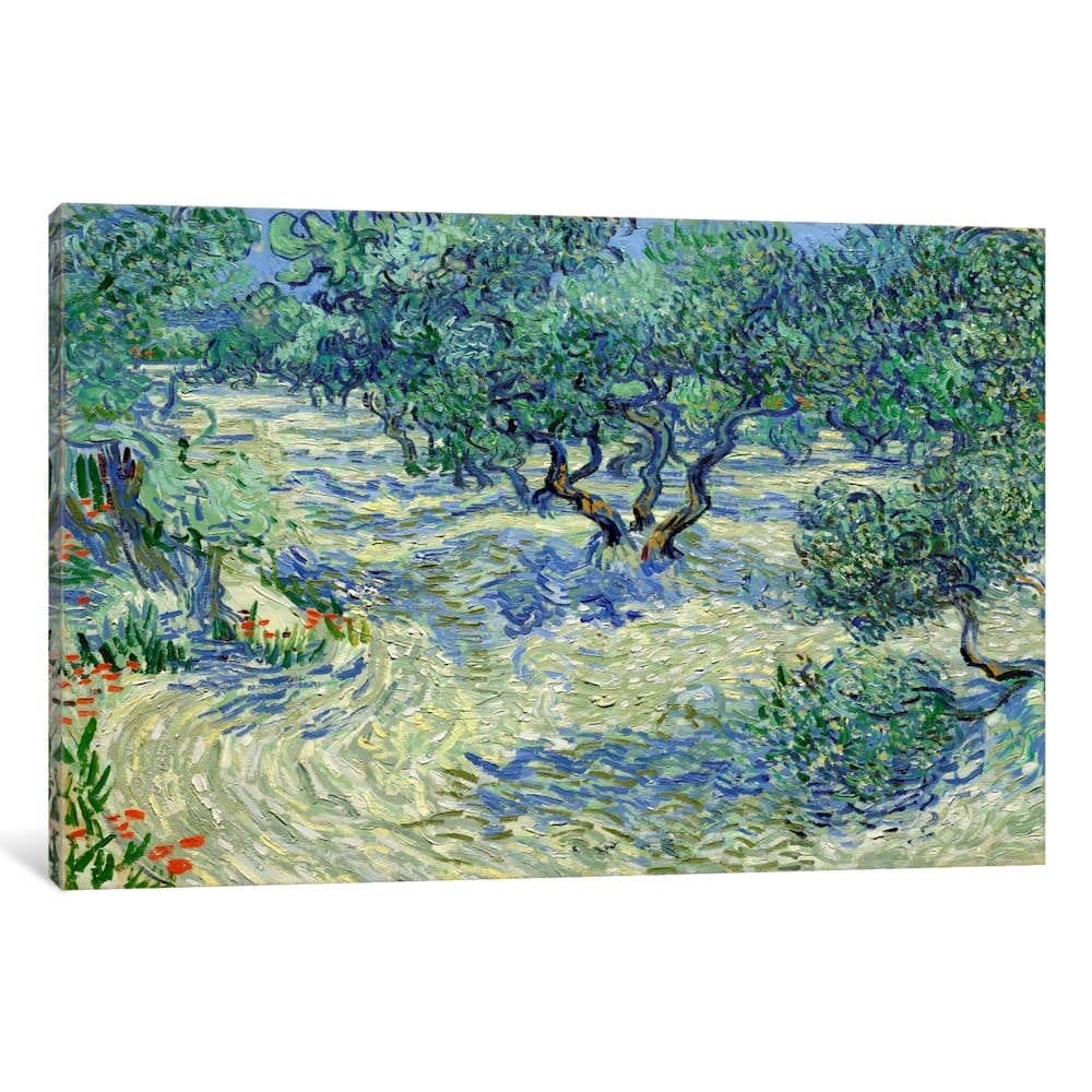 Icanvas Olive Orchard By Vincent Van Gogh