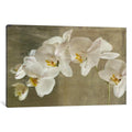 Icanvas Painted Orchid By Symposium Design