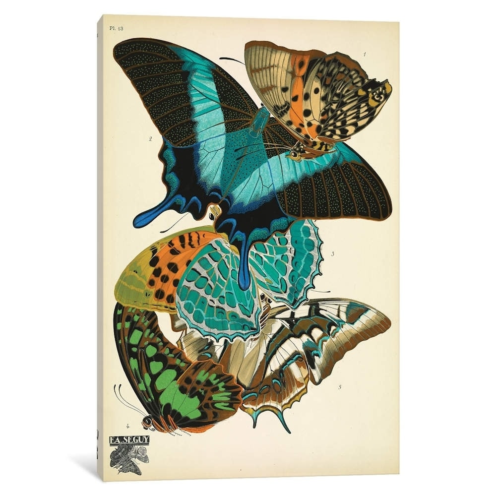 Icanvas Papillons Butterflies Xiii By Eugene Seguy Canvas Print