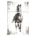 Icanvas Rustic Black Stallion I By Ethan Harper