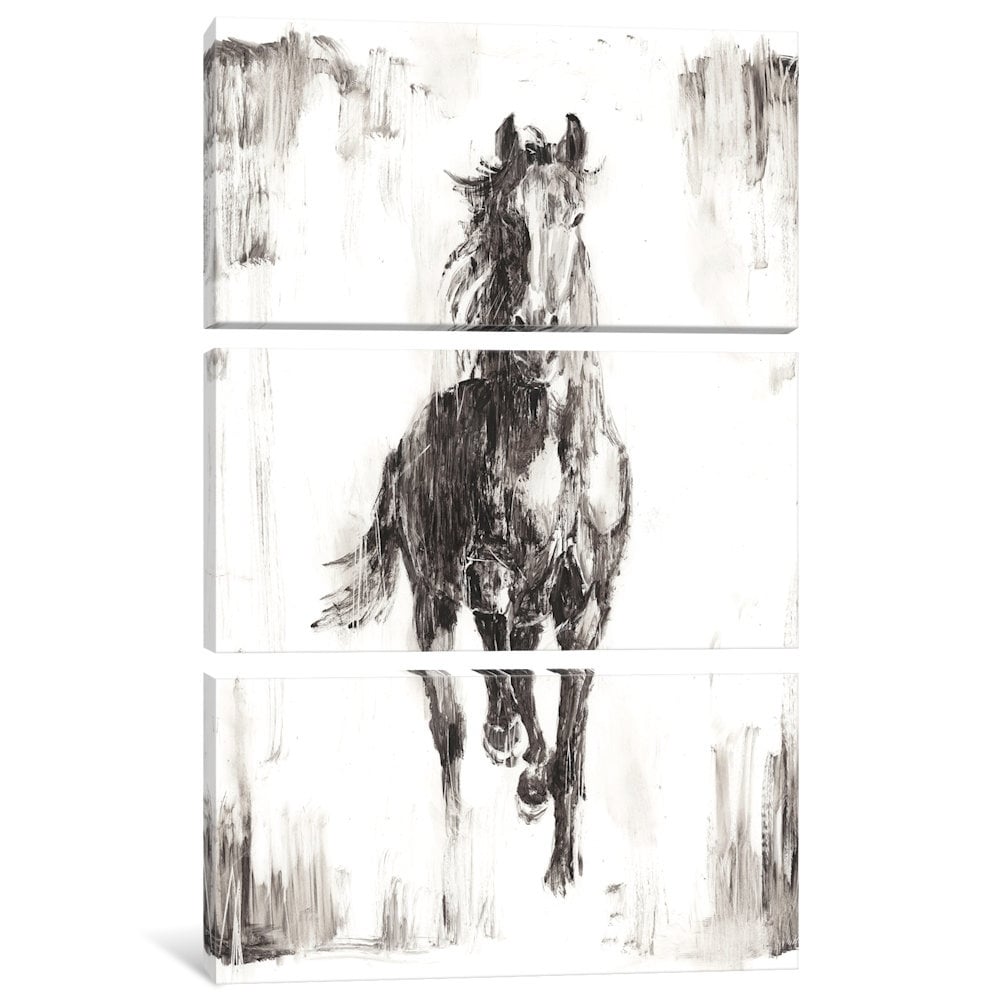 Icanvas Rustic Black Stallion I By Ethan Harper