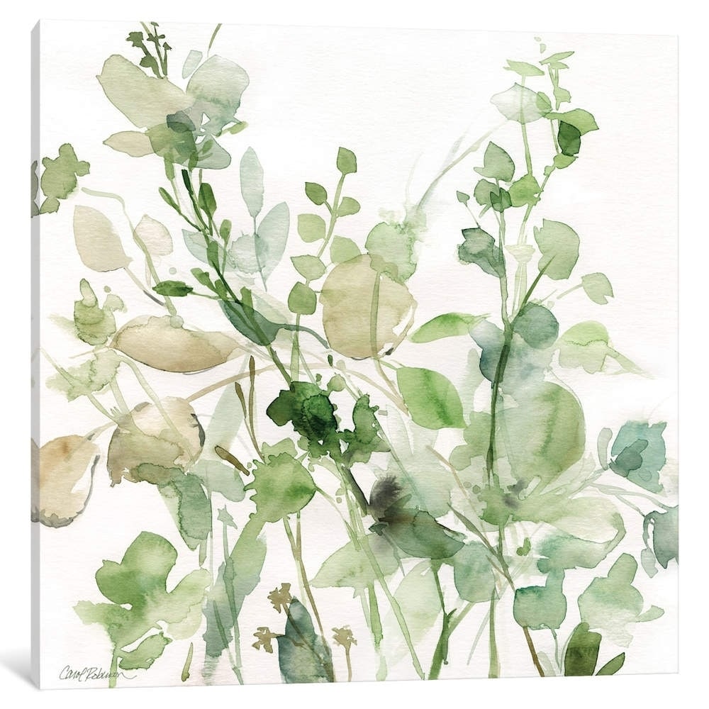 Icanvas Sage Garden Ii By Carol Robinson