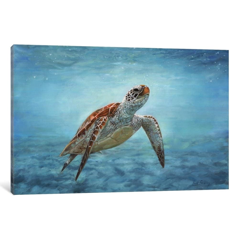 Icanvas Sea Turtle By David Stribbling