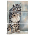 Icanvas Snow Leopard By Sarah Stribbling