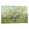 Icanvas The White Orchard By Vincent Van Gogh Canvas Print