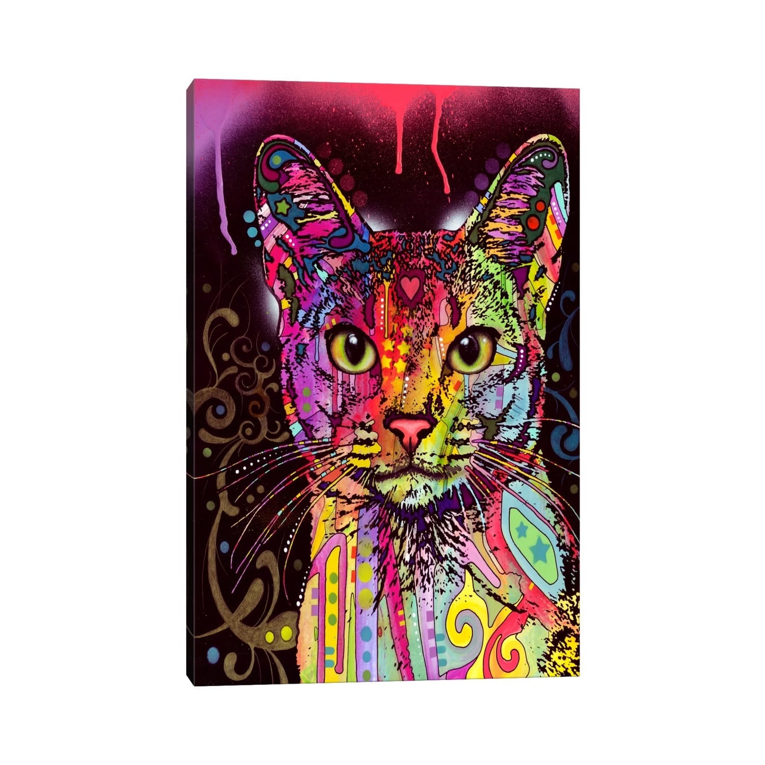 Icanvas Abyssinian By Dean Russo Canvas Print