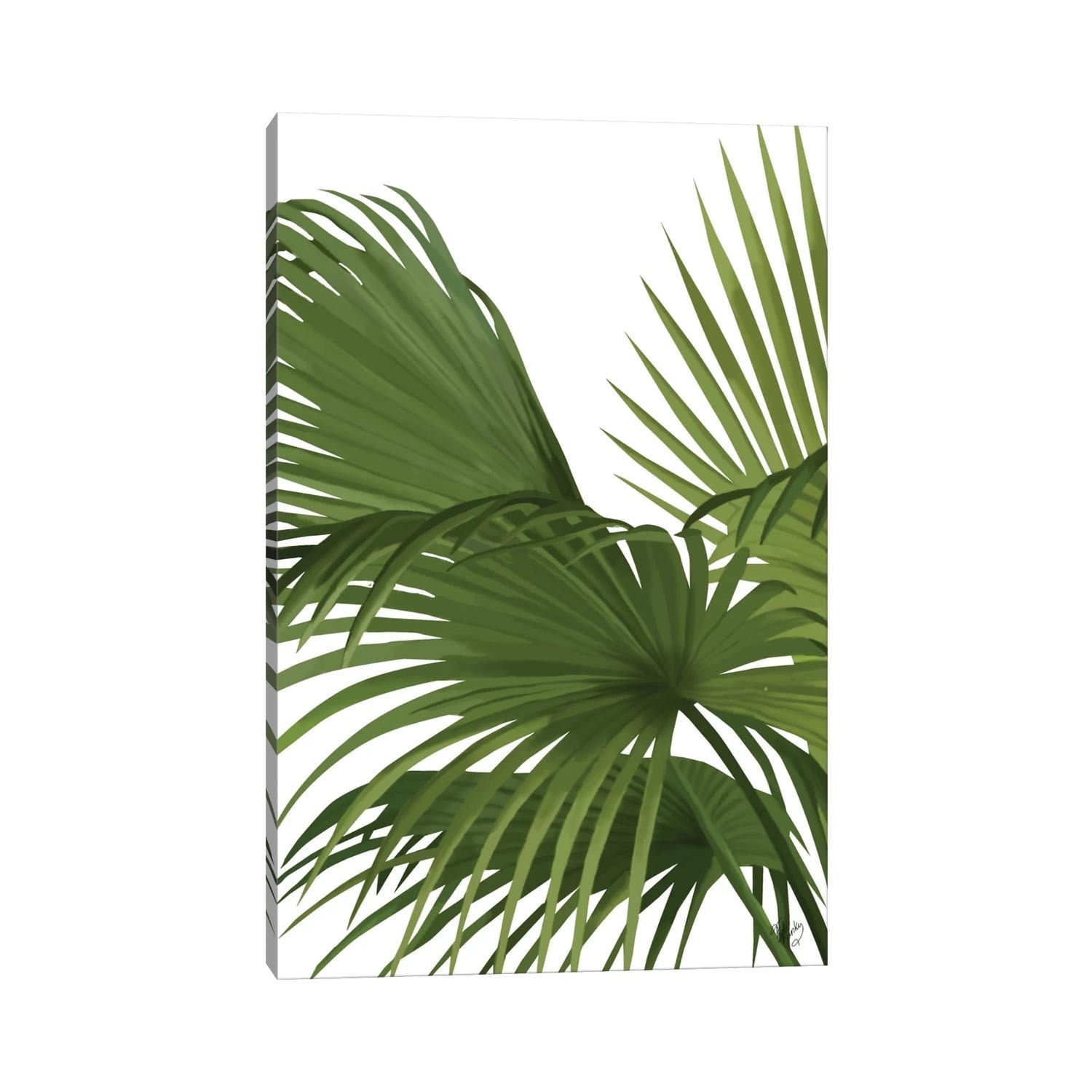 Icanvas Another Fan Palm Ii By Fab Funky Canvas Print