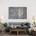 Icanvas Barred Owl On Branches By Unknown Artist Canvas Print