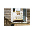 Icanvas Beach House Dog By Zhen Huan Lu Canvas Print