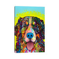 Icanvas Dean Russo Burnese Mountain Dog Canvas Print Wall Art