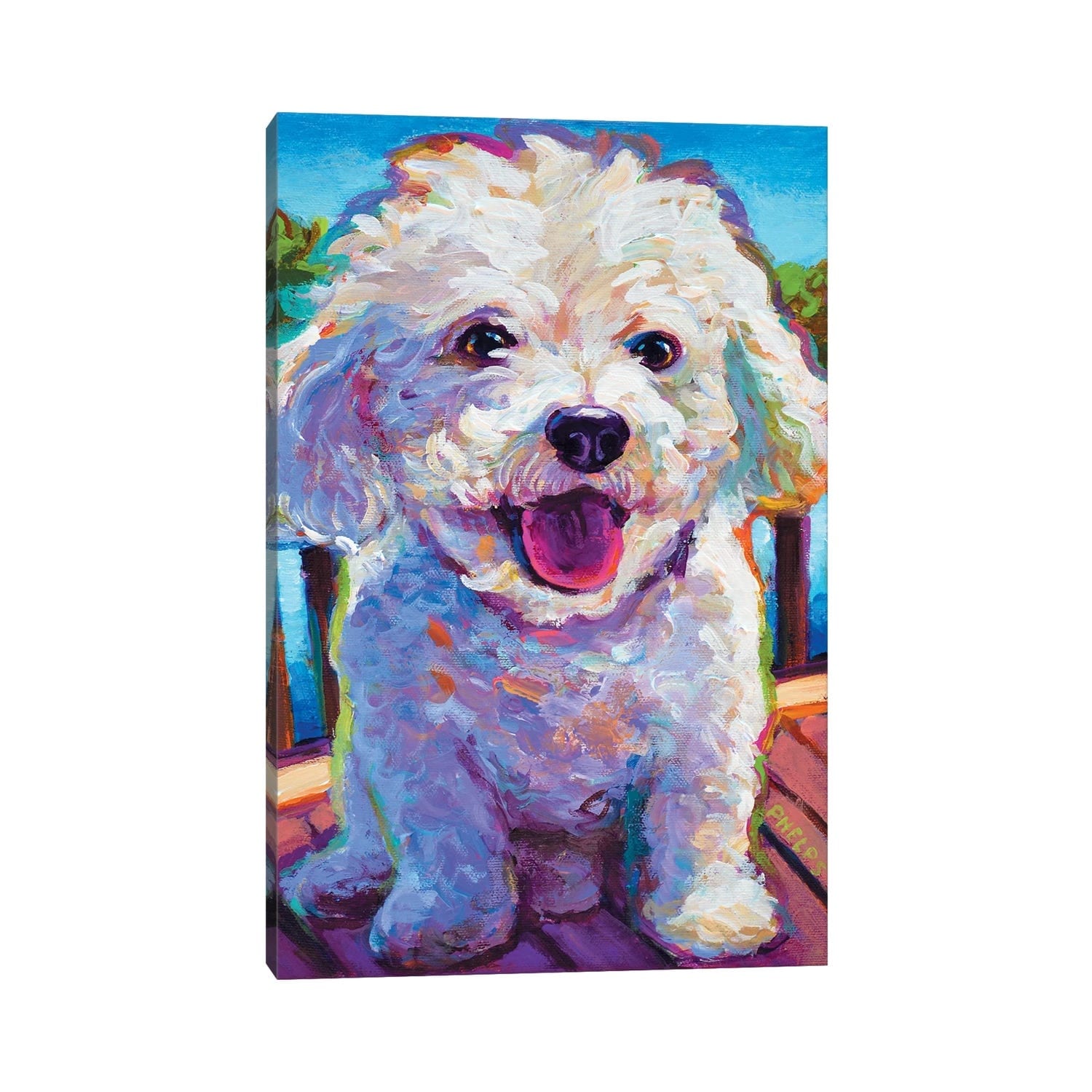Icanvas Bichon Frise By Robert Phelps
