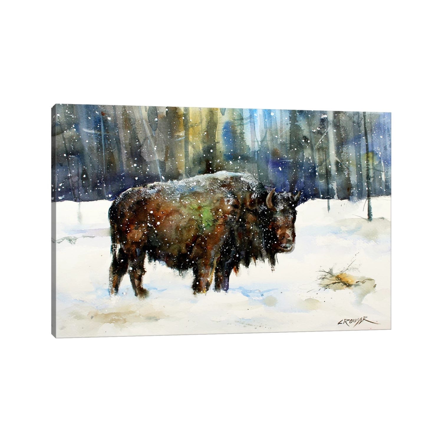 Icanvas Bison By Dean Crouser Canvas Print
