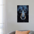 Icanvas Black Bear I By Sarah Stribbling