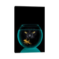 Icanvas Black Cat Goldfish By Vin Zzep Canvas Print