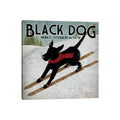 Icanvas Black Dog Ski Co. Ii By Ryan Fowler