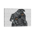 Icanvas Black Pug By Angelika Parker Canvas Print