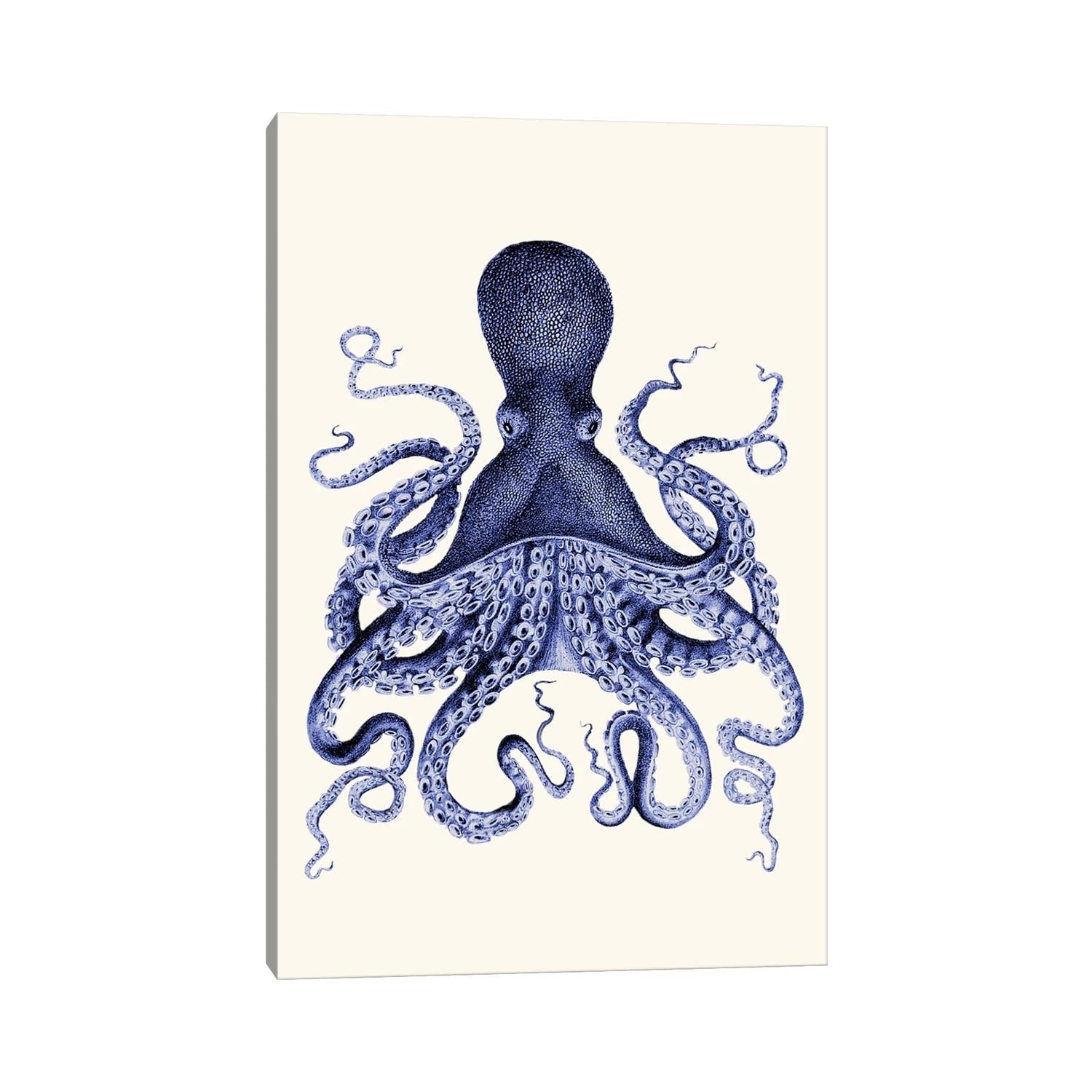 Icanvas Blue Octopus I By Fab Funky Canvas Print