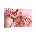 Icanvas Blush Peonies By Chelsea Victoria Canvas Print