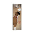 Icanvas Boxer Coffee Co. By Ryan Fowler Canvas Print
